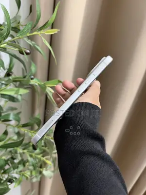 Apple iPhone 17 Pro Max 512 GB Silver