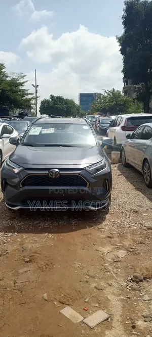Toyota RAV4 XLE 2022 Gray
