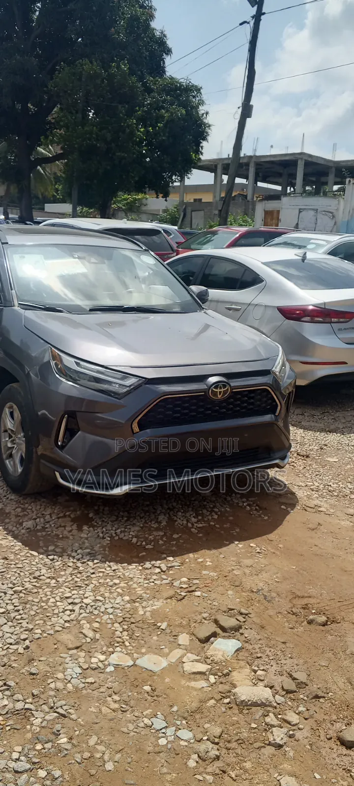 Toyota RAV4 XLE 2022 Gray