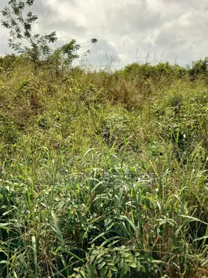 Land at Ho for Sale at a Negotiable Price