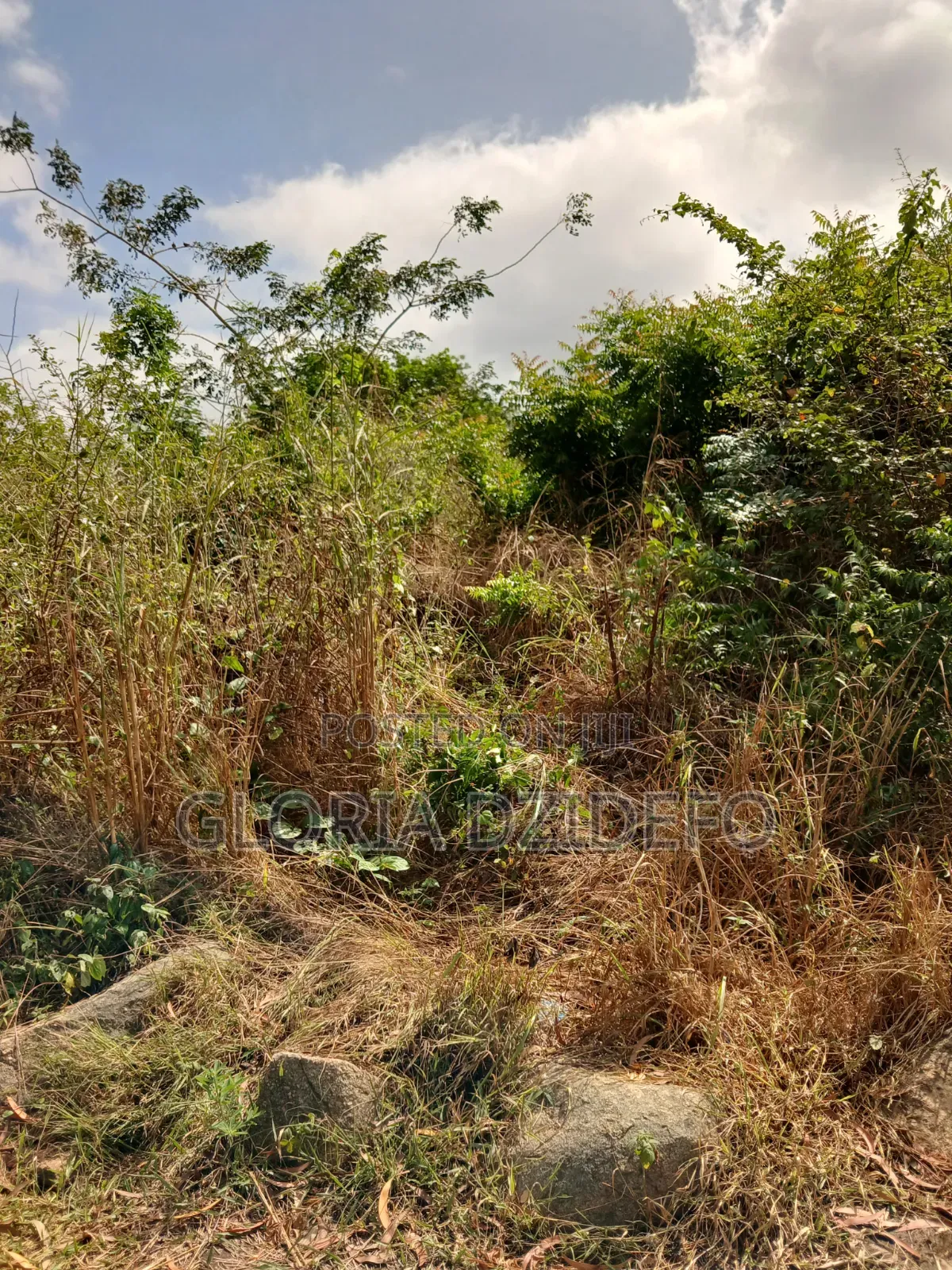 Land at Ho for Sale at a Negotiable Price