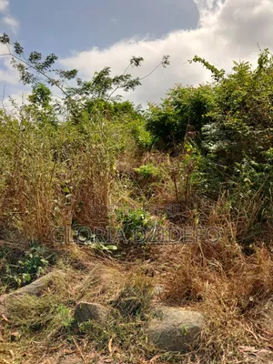 Land at Ho for Sale at a Negotiable Price