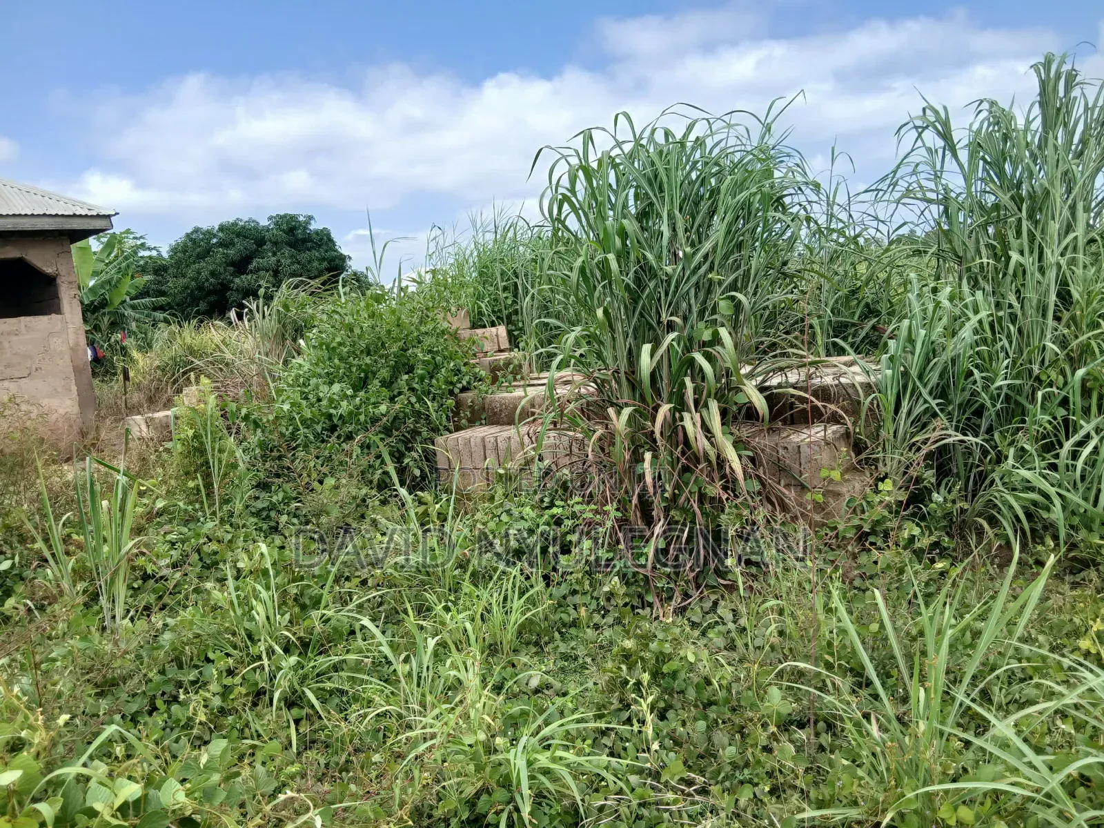 Land With Footing