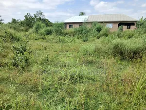 Land With Footing