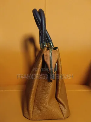 Beautiful Ladies Handbag