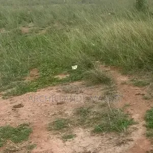Buy This Beautiful Land Ayikuma