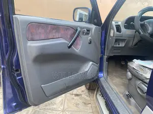 Nissan Terrano 1998 Blue