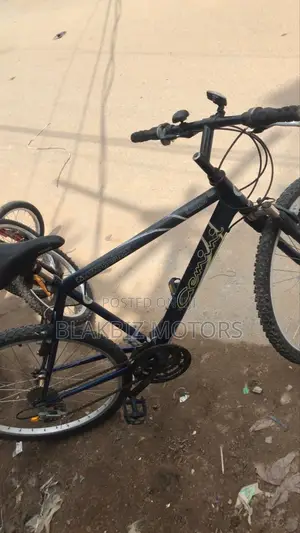 Adult Bicycle