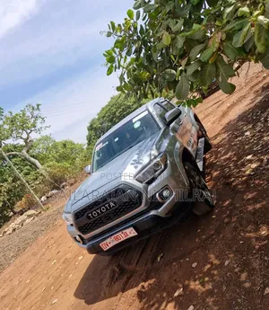Toyota Tacoma SR5 2019 Gray