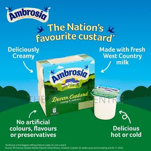 Ambrosia Devon Custard 500g/18 Each