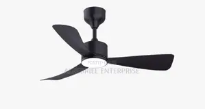 Ceiling Fan With Light