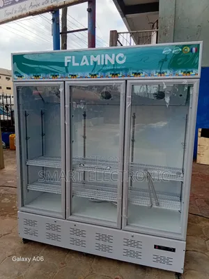 Flamino Refrigerator- Entertain Flamino Refrigerator Cooling for Mall