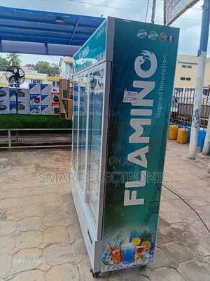 Flamino Refrigerator- Entertain Flamino Refrigerator Cooling for Mall