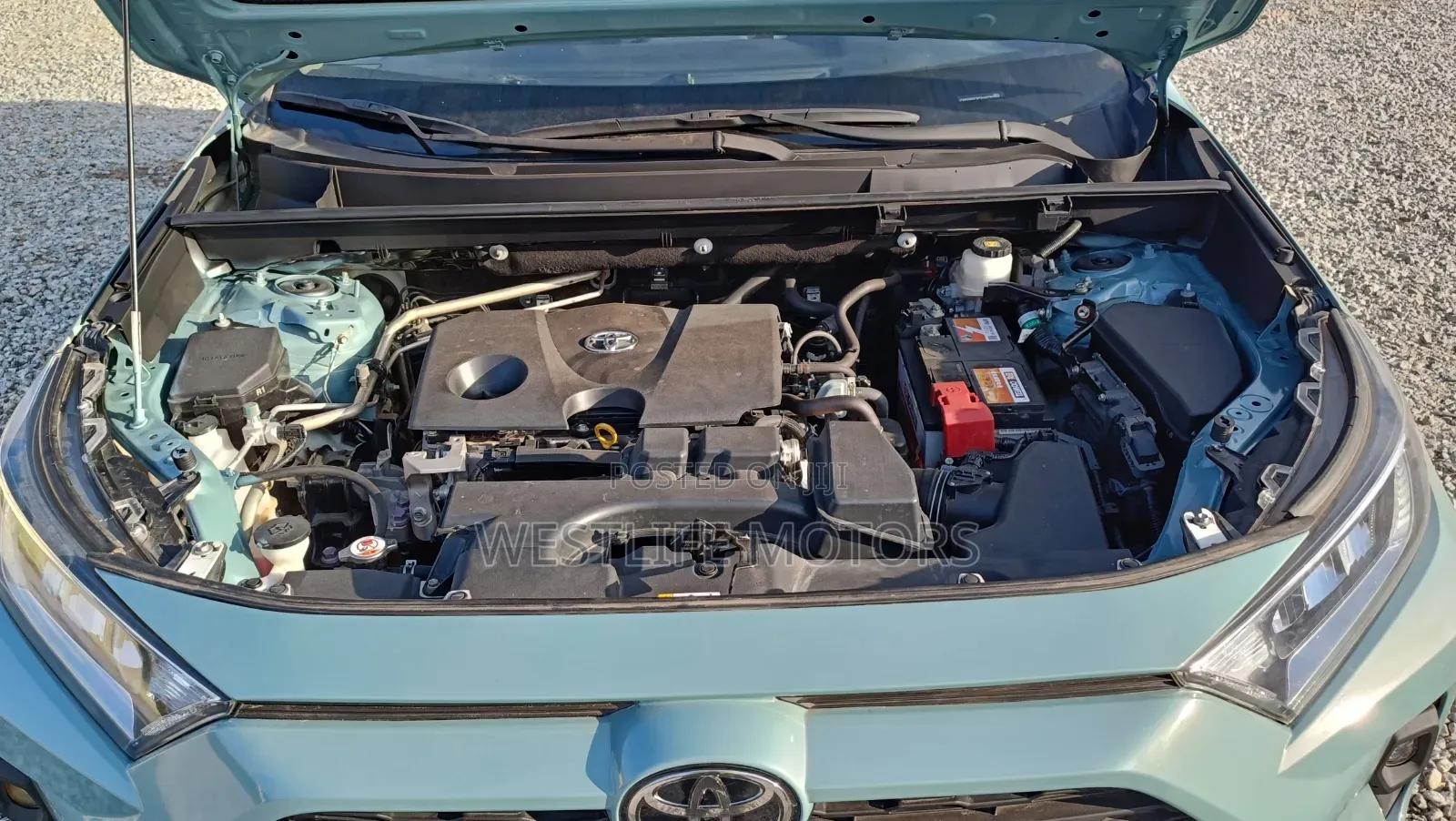 Toyota RAV4 XLE FWD 2023 Green