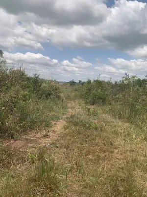 Litigation-Free Land at Sege Junction - Free Site Visit - Call Madula