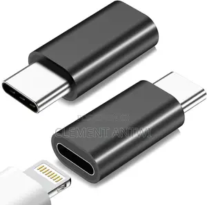 Lightning (iPhone) Female to Type C Male Adaptor