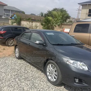 Toyota Allex 2010 Gray