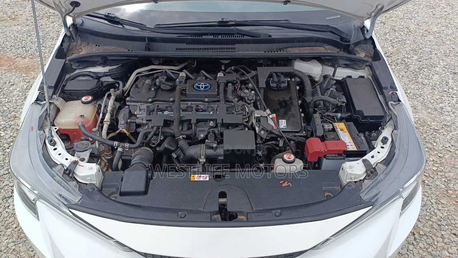 Toyota Levin Hybrid Luxury 2022 White