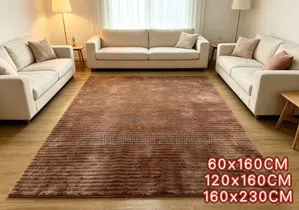 Large Area Rug / Standard Living Room Rug