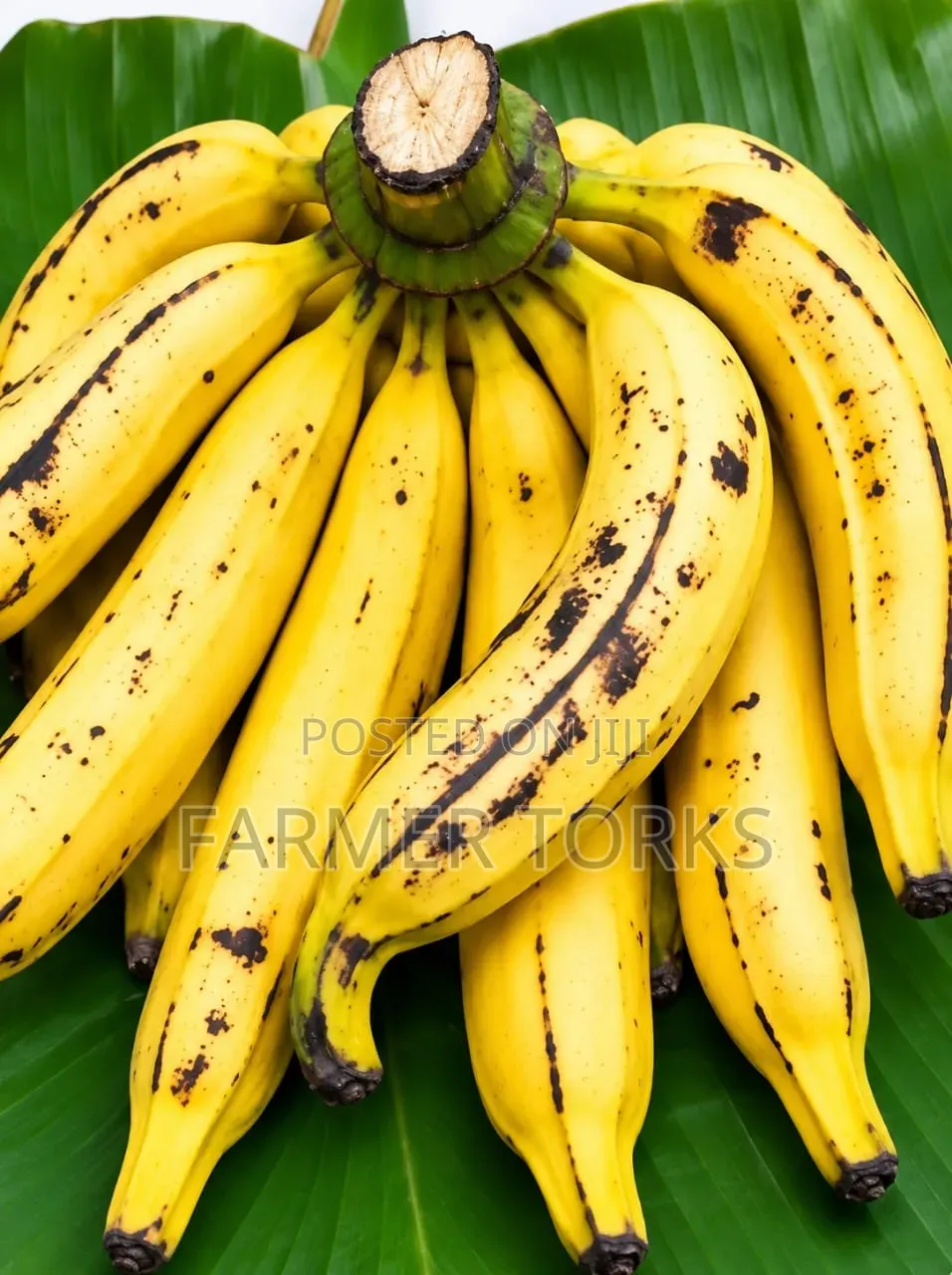 Ripe Plantain