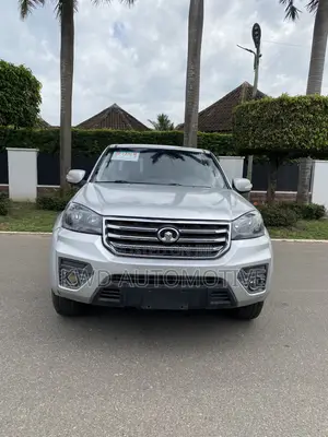 Great Wall Pao 2.0 Diesel RWD 2019 Gray