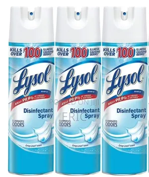 Lysol Disinfectant Spray
