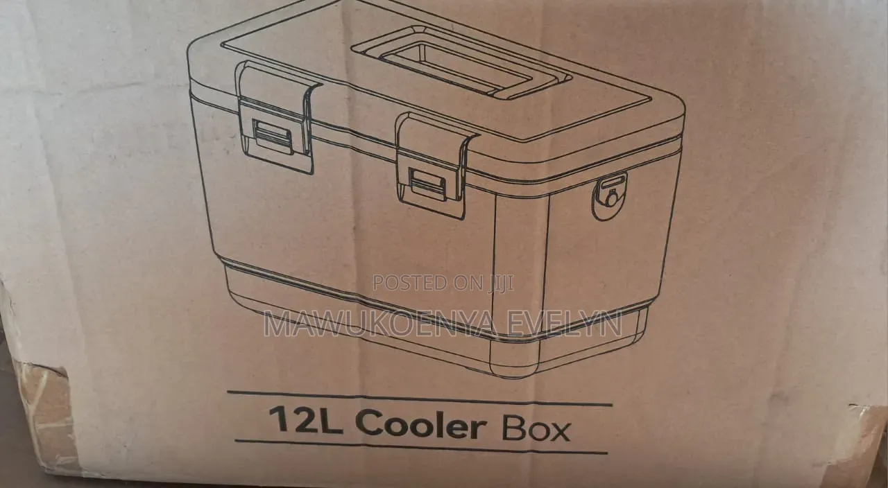 Vaccines Storage Cooler Box 12 L With Thermometer Reading