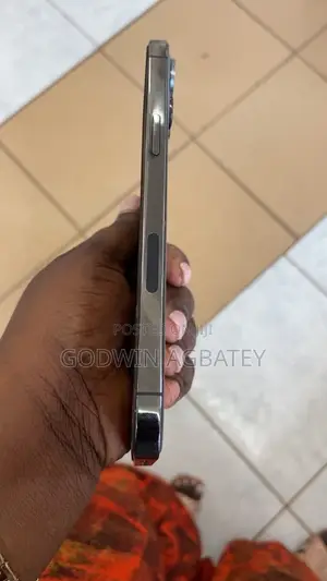 Apple iPhone 12 Pro Max 256 GB Silver