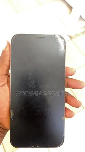 Apple iPhone 12 Pro Max 256 GB Silver