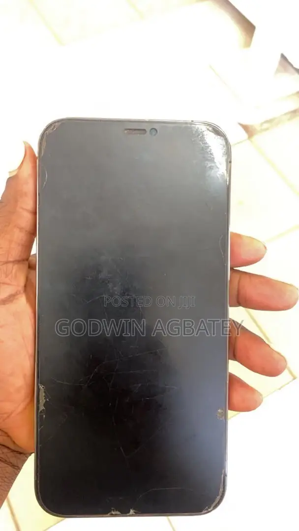 Apple iPhone 12 Pro Max 256 GB Silver