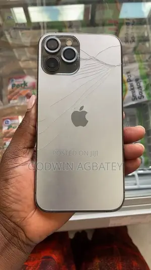 Apple iPhone 12 Pro Max 256 GB Silver