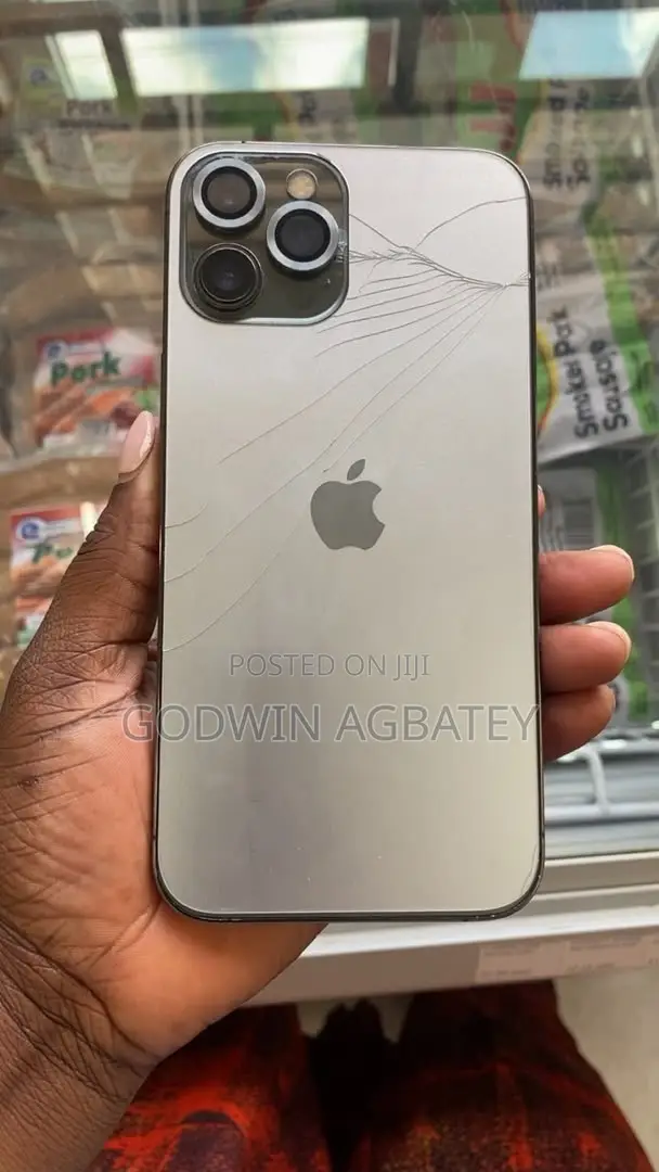 Apple iPhone 12 Pro Max 256 GB Silver