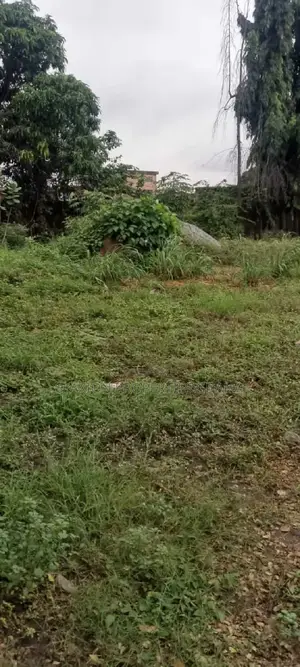 Roadside 3 Acres of Lands at Dwowulu for Sale