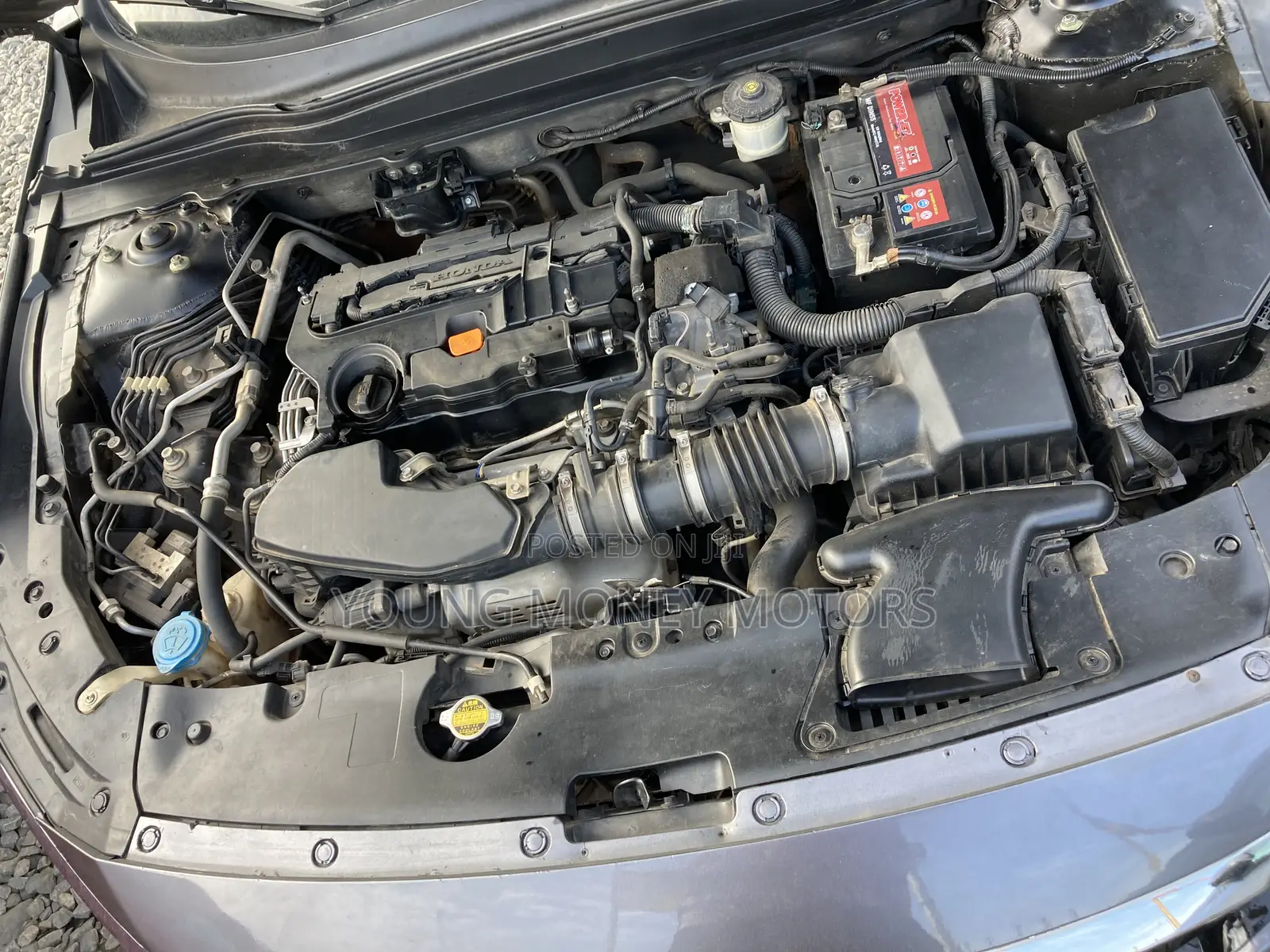 Honda Accord Sport (2.0L 4cyl Turbo 10A) 2019 Green