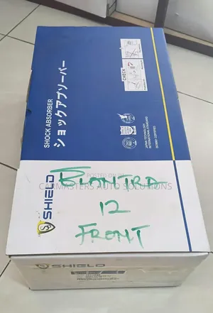 Hyundai Elantra 11-13 Front Shock Absorber