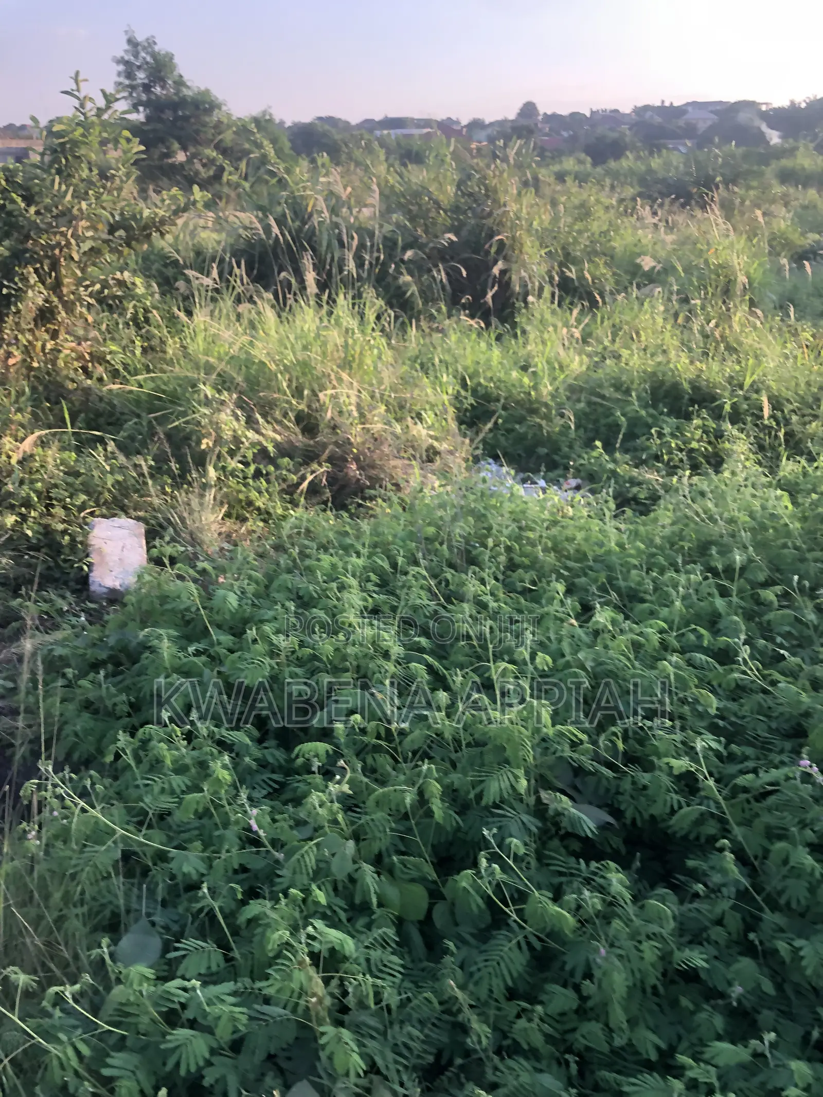 Double Plot of Land Is on Sales