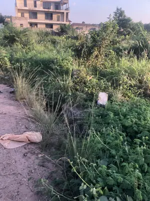 Double Plot of Land Is on Sales