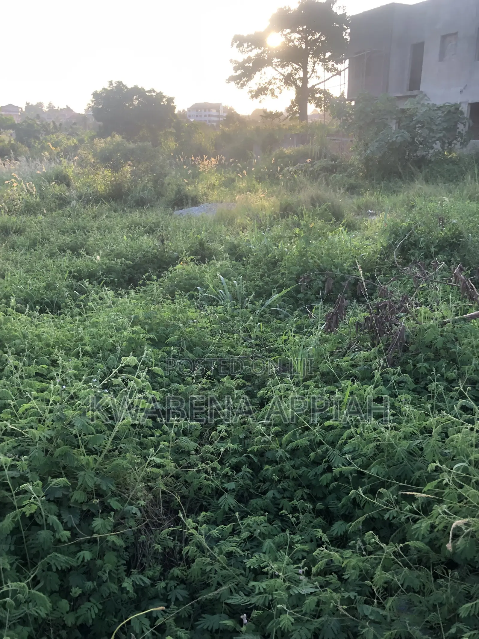 Double Plot of Land Is on Sales