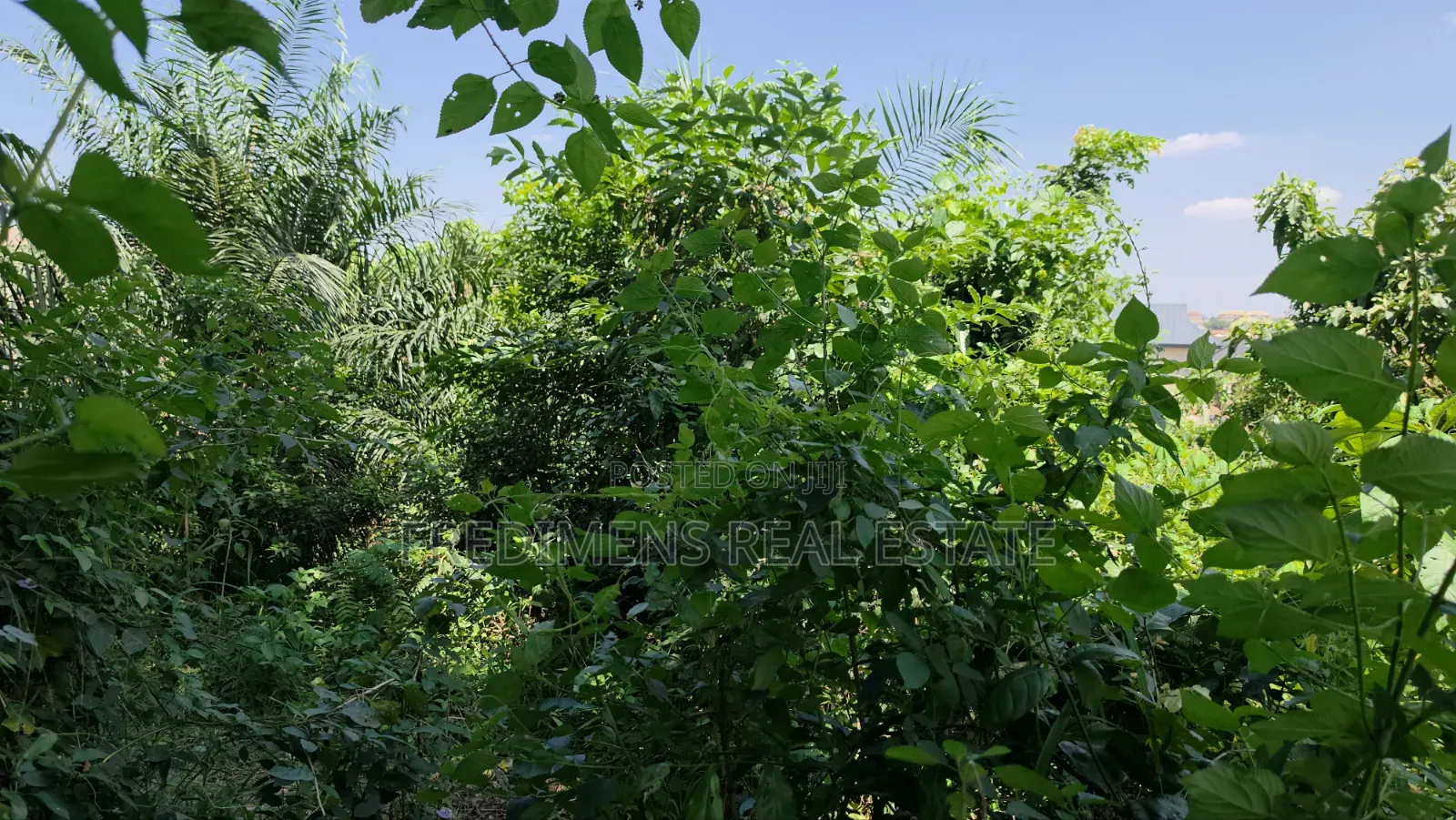 Land at Atimatim-Essen for Sale
