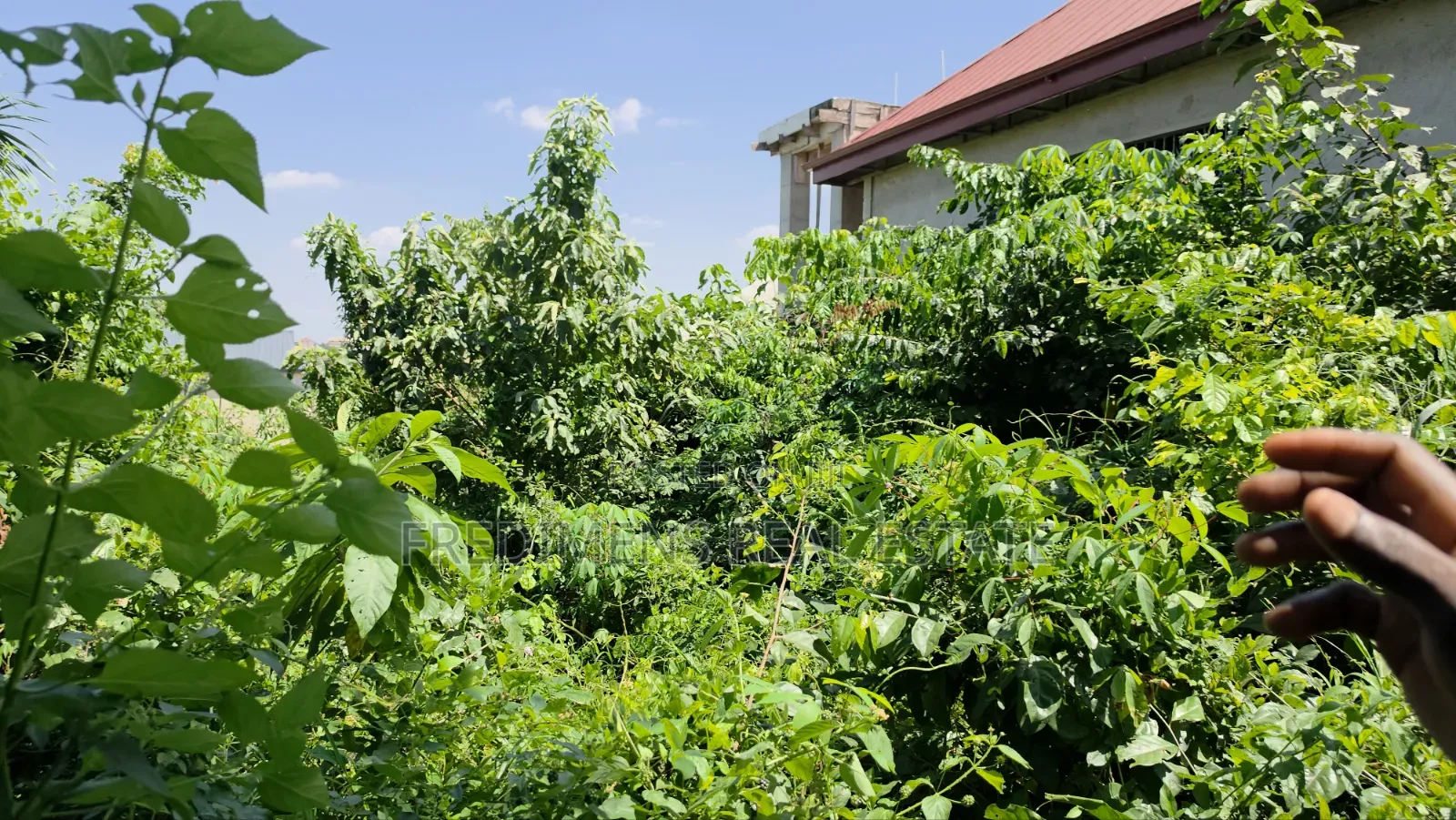 Land at Atimatim-Essen for Sale