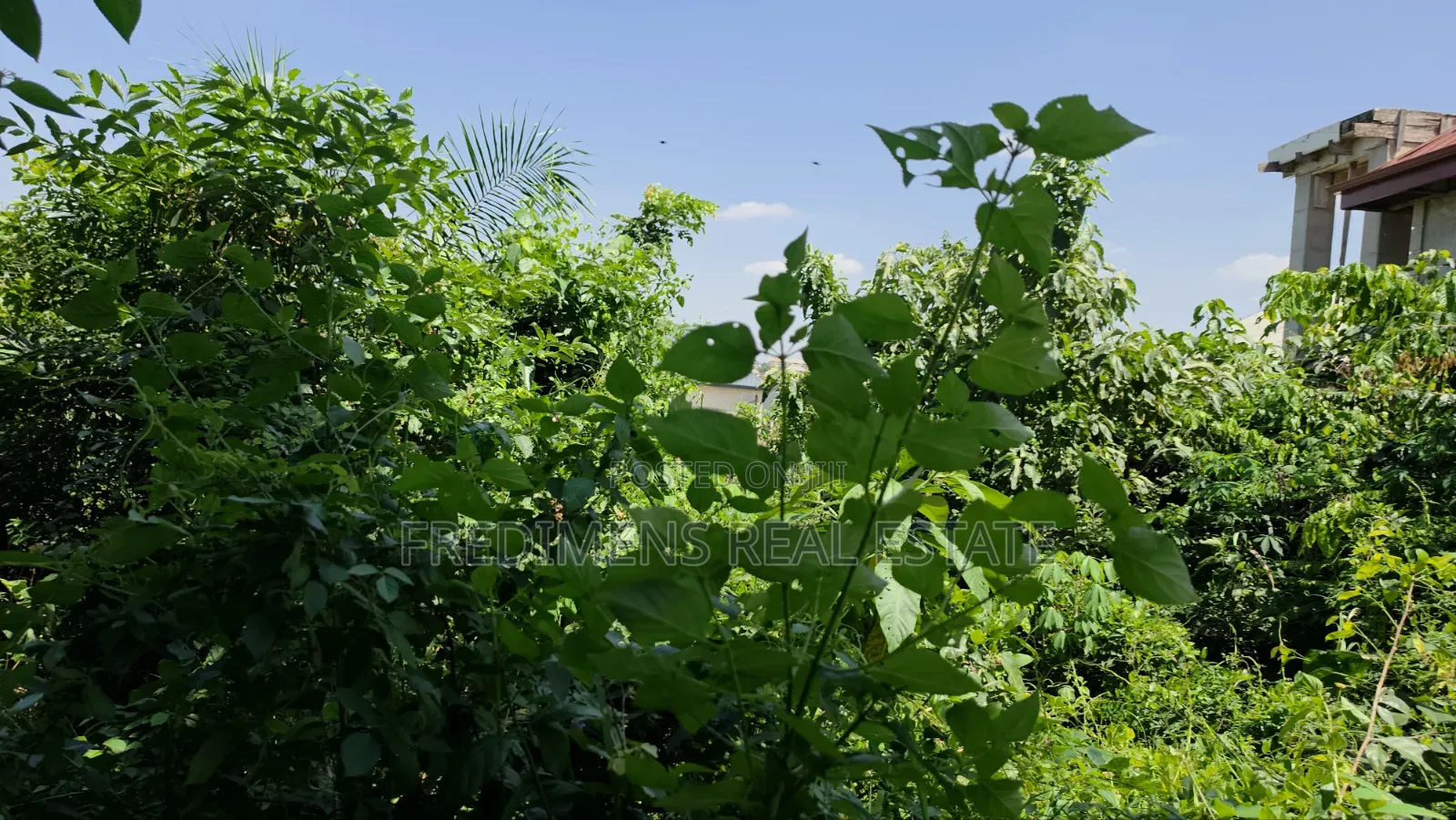 Land at Atimatim-Essen for Sale
