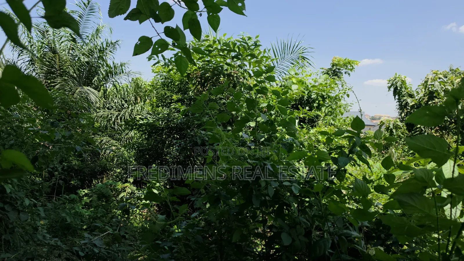 Land at Atimatim-Essen for Sale