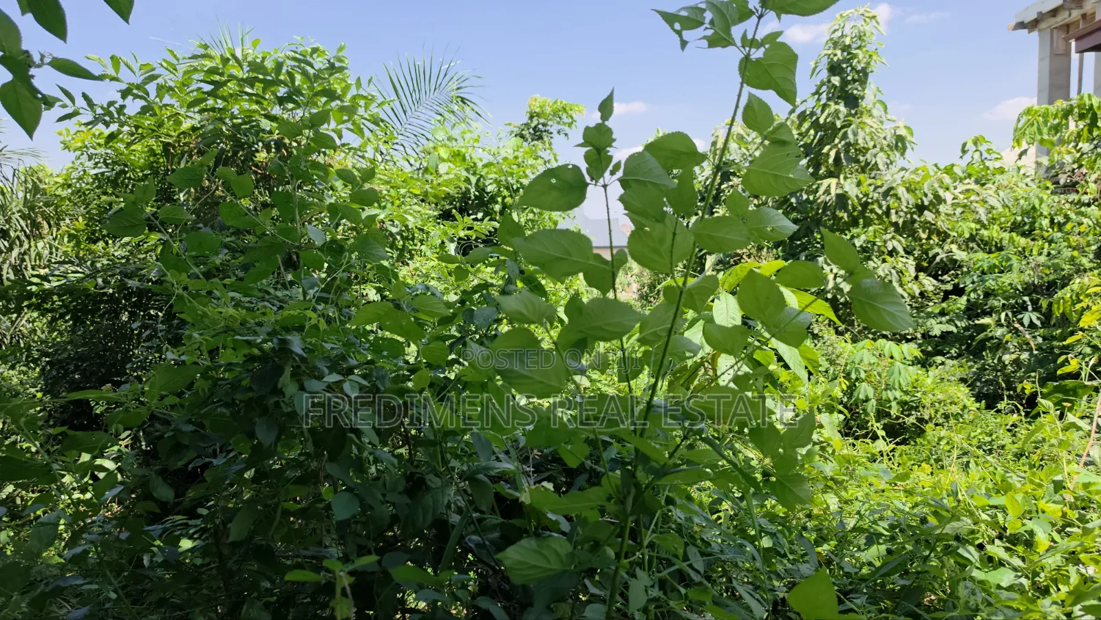 Land at Atimatim-Essen for Sale