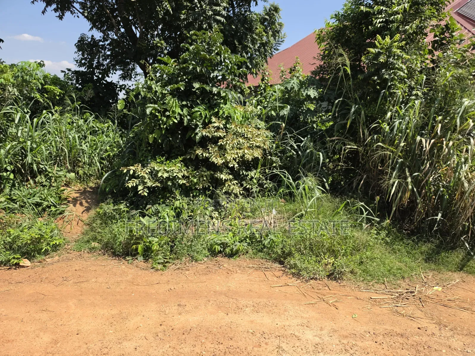 Land at Atimatim-Essen for Sale