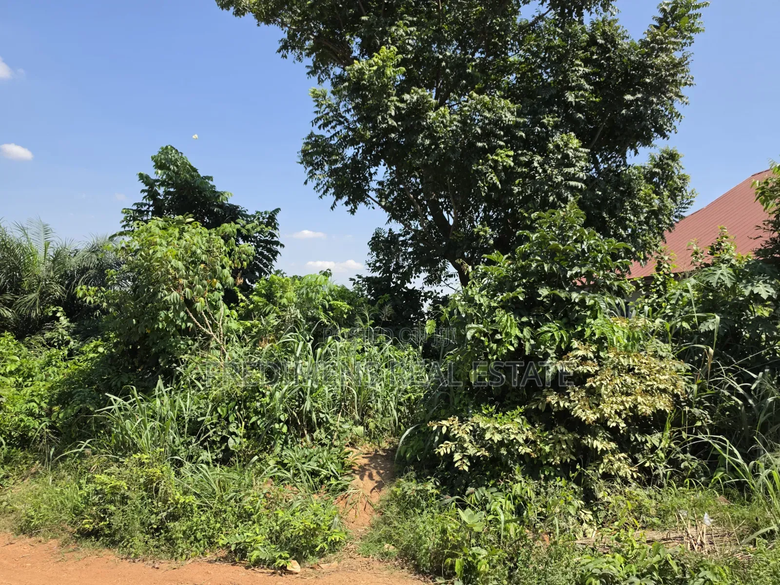 Land at Atimatim-Essen for Sale