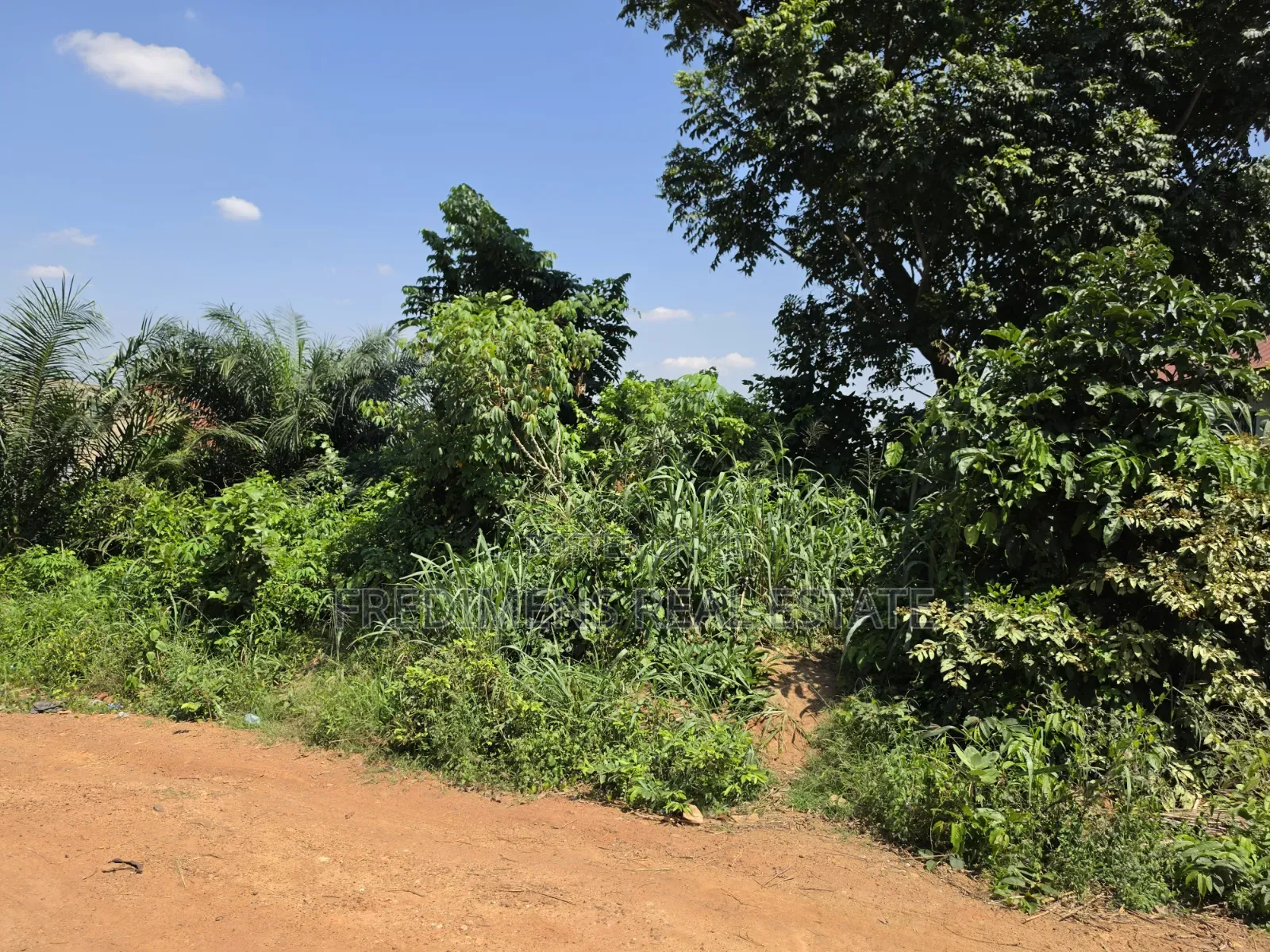 Land at Atimatim-Essen for Sale