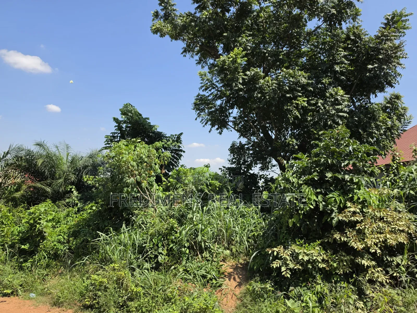 Land at Atimatim-Essen for Sale