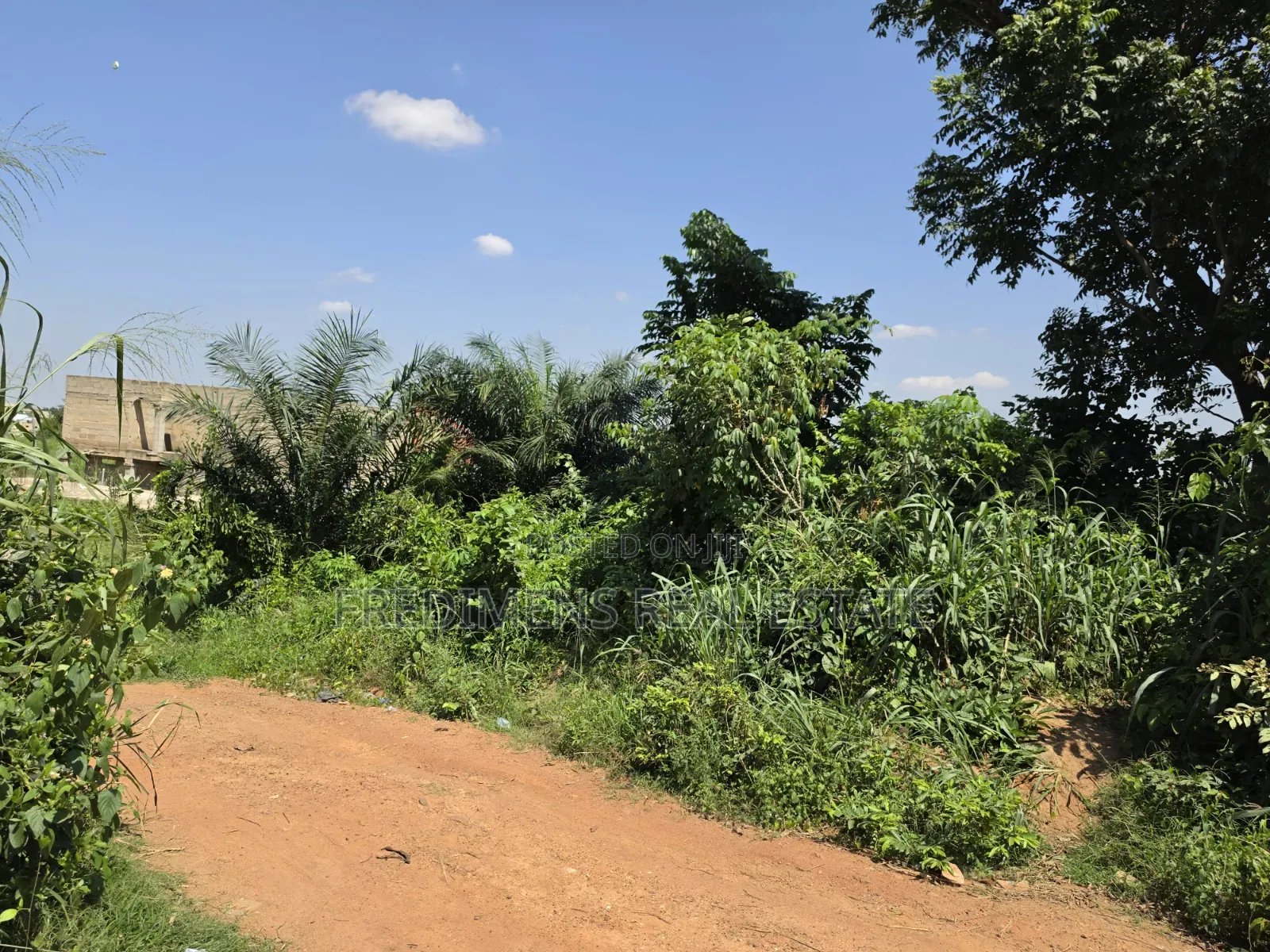 Land at Atimatim-Essen for Sale