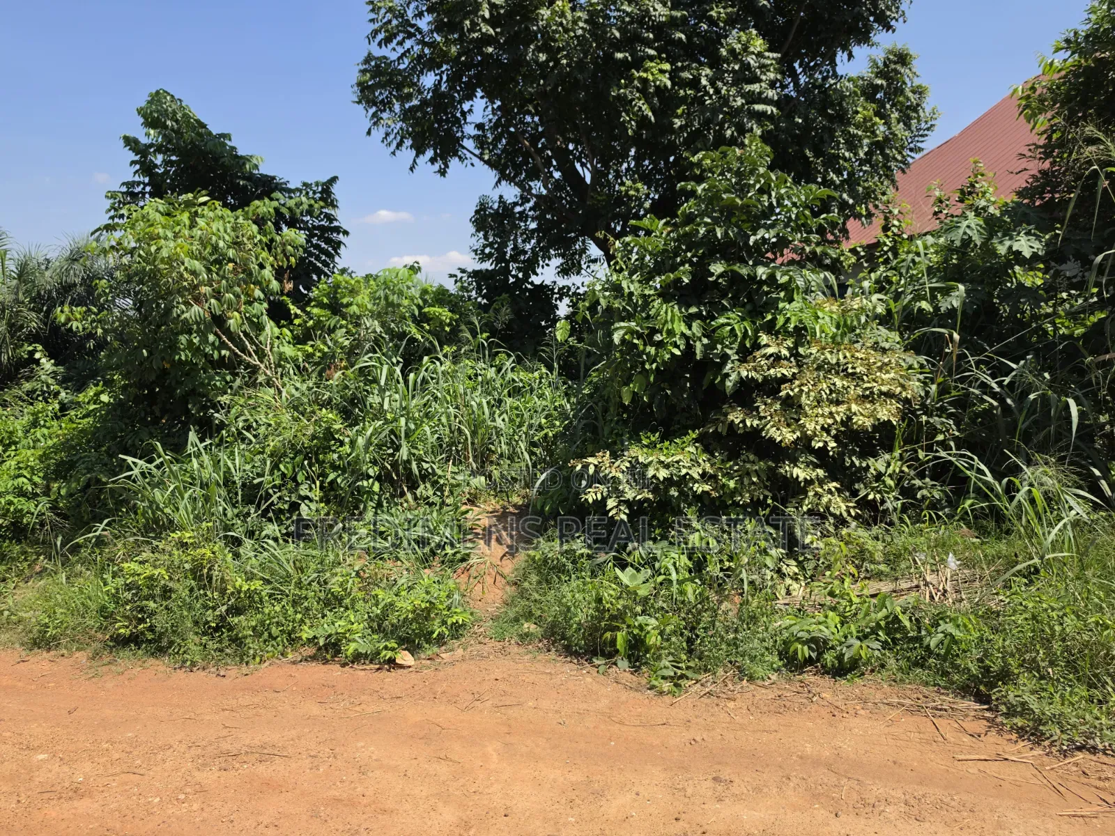 Land at Atimatim-Essen for Sale
