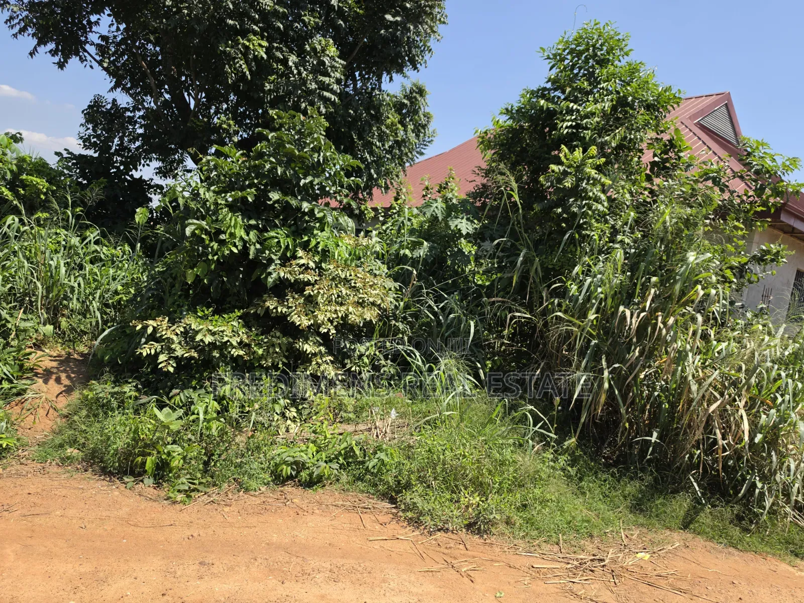 Land at Atimatim-Essen for Sale
